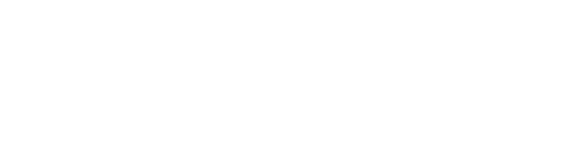 Logo IGS agency